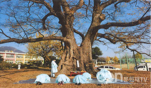 담양 대치리 느티나무 당산제(2020) (사진=문화재청)