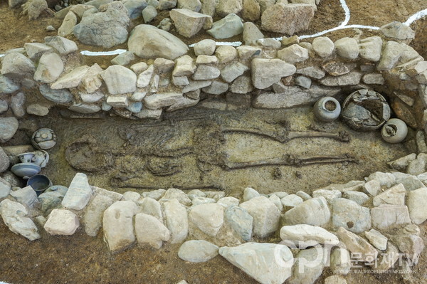 적석목곽묘 6호 출토 인골(사진=국립경주문화재연구소)